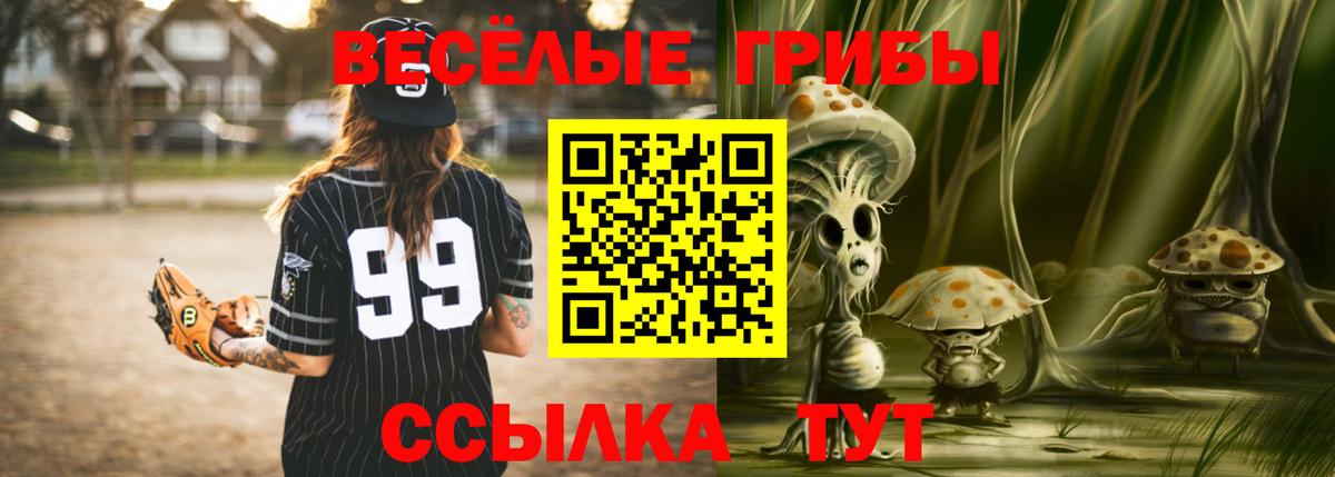 Псилоцибиновые грибы MAGIC MUSHROOMS  Вход с VPN  Галлюциногенные грибы мухоморы  Кашира 
